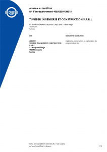 ISO 45001 - P2